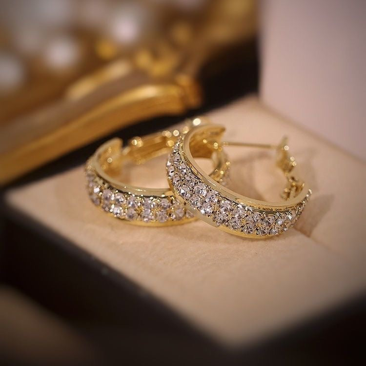 Histone Lymphatic activity hoop earrings(Limited Time Discount 🔥 Last Day)