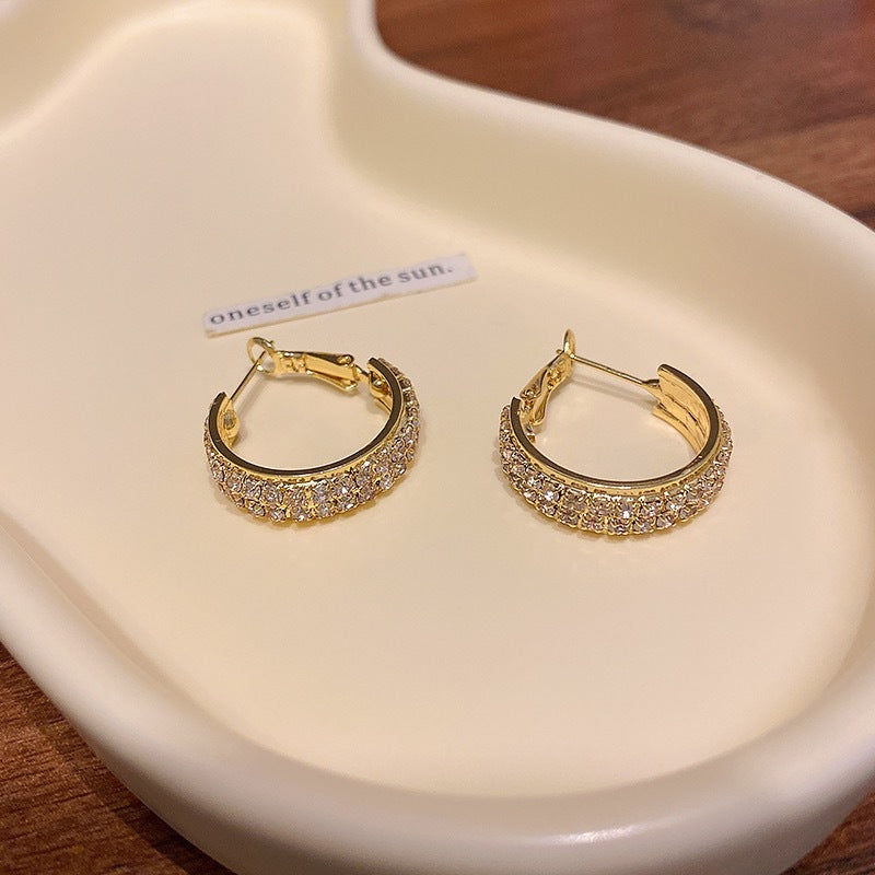 Histone Lymphatic activity hoop earrings(Limited Time Discount 🔥 Last Day)