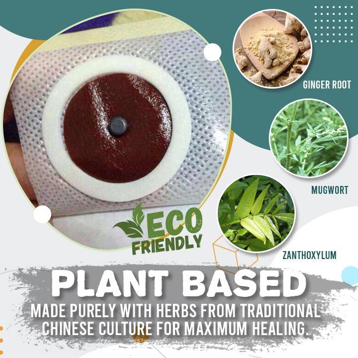 Histone Perfect Detox Slimming Patch（Limited Time Discount 🔥 Last Day）
